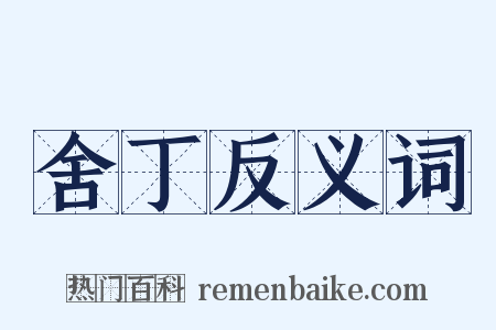 舍丁反义词是什么意思的图片